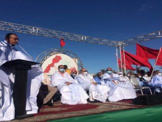 ساكنة جهة الداخلة وادي الذهب تحتفي بقرار الولايات المتحدة缩略图