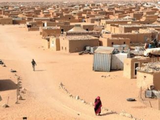 زلة السفير الجزائري .. أو الأفعى التي لدغت مروضها缩略图