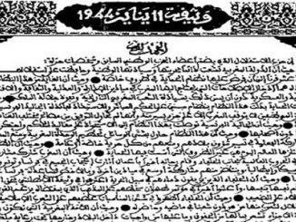 ذكرى تقديم وثيقة المطالبة بالاستقلال .. حدث جيلي ونوعي في ملحمة الكفاح الوطني缩略图