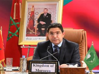 السيد ناصر بوريطة يتباحث مع نظيرته البلجيكية缩略图