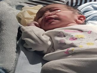 الزميل أحمد العراسي مدير جريدة الشروق يرزق بمولود缩略图