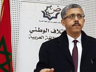 اللغة الأم ومنطق التشظي缩略图