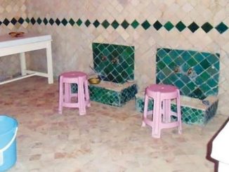 أرباب الحمامات التقليدية يلتقون العثماني وينددون بتصريح الرميد缩略图