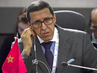 هلال: الدول الحاضنة والداعمة للمجموعات المسلحة التي تجند الأطفال تتحمل مسؤولية جنائية دولية缩略图