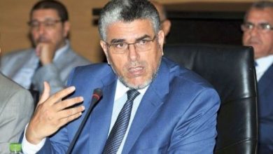 وزير الدولة في حقوق الانسان يعلق على ظهور شخص بلباس مدني يعتدي على استاذ缩略图