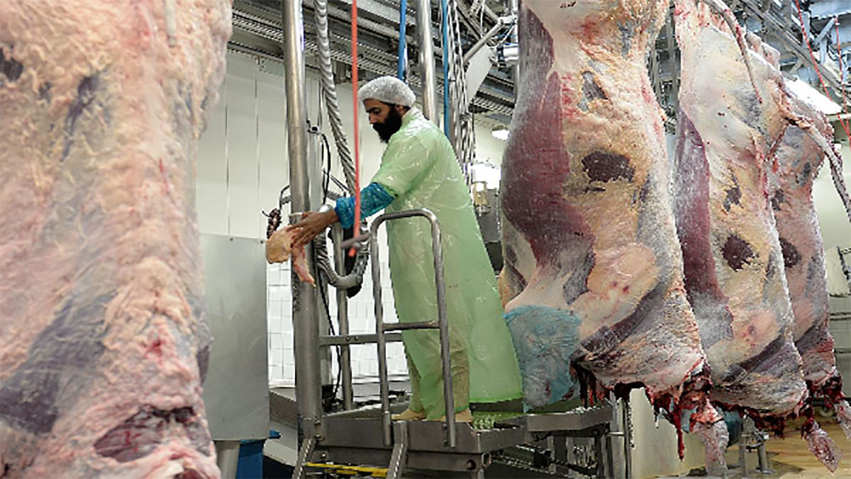 يهم الجالية .. فرنسا تنفي حظر الذبح وفق مبادئ الشريعة الإسلامية缩略图