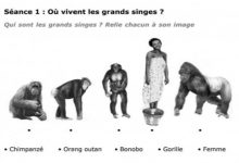 فتح تحقيق في تقديم مدرسة فرنسية بالبيضاء تمرينا يحتوي على بُعد عنصري缩略图