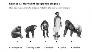 فتح تحقيق في تقديم مدرسة فرنسية بالبيضاء تمرينا يحتوي على بُعد عنصري缩略图