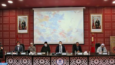 العرائش.. ندوة تبرز التحديات التي تواجهها النساء المزاولات لمهنة العدل缩略图