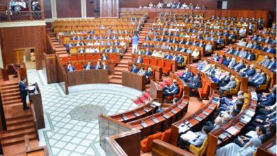 أمال علي: الحاجة الديمقراطية إلى تغيير القاسم الانتخابي缩略图 أمال علي: الحاجة الديمقراطية إلى تغيير القاسم الانتخابي缩略图