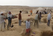 اكتشاف أقدم أثر للحيوان المائي “نجم البحر” في العالم بالصحراء المغربية缩略图