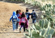 لمواجهة الهدر المدرسي .. أمزازي يجر أولياء أمور التلاميذ المنقطعين إلى القضاء缩略图