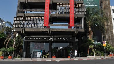 القرض الفلاحي … تسبيق على إعانة صندوق التنمية الفلاحية缩略图 القرض الفلاحي … تسبيق على إعانة صندوق التنمية الفلاحية缩略图