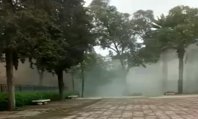 انهيار الجزء العلوي لبرج القصبة المتواجد بحديقة للامريم缩略图 انهيار الجزء العلوي لبرج القصبة المتواجد بحديقة للامريم缩略图