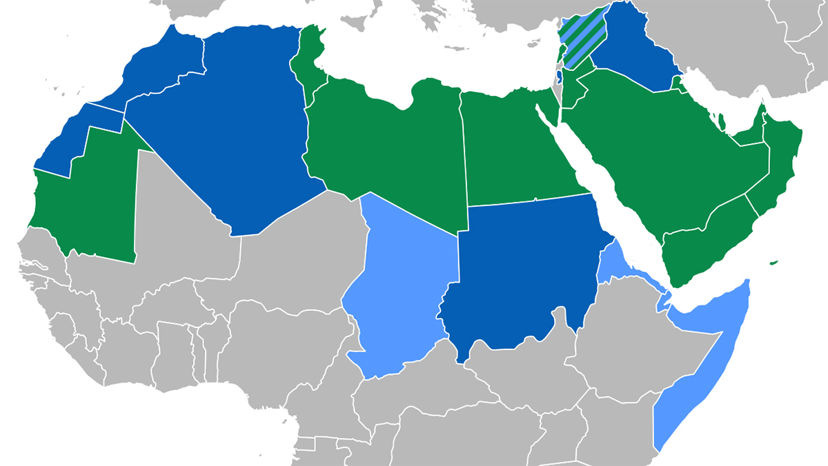 أكاديمية اللغة العربية: أسئلة ما عادت معلقة缩略图