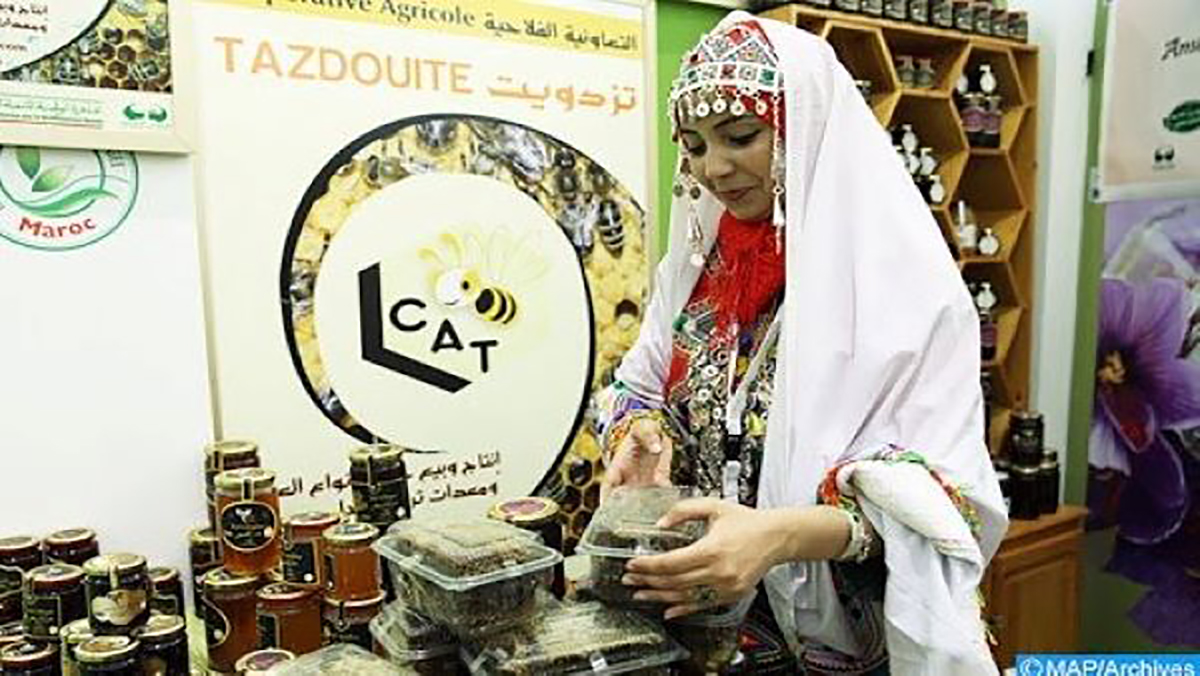 الإحصاء العام للتعاونيات بالمغرب… مكتب تنمية التعاون يعلن عن إطلاق العملية缩略图