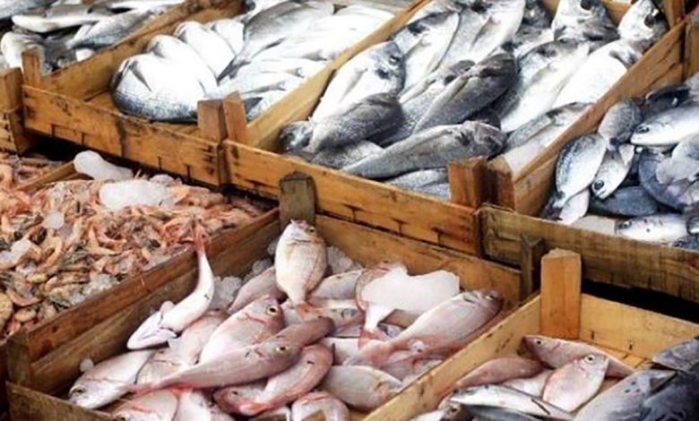 السردين ب 25 درهما… هل يترك المغاربة السمك “يخناز” ضدا في لهيب الأسعار缩略图 السردين ب 25 درهما… هل يترك المغاربة السمك “يخناز” ضدا في لهيب الأسعار缩略图