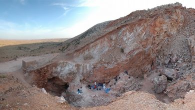 تخصيص 26 مليون درهم لتهيئة موقع اكتشاف بقايا أقدم إنسان عاقل في التاريخ缩略图 تخصيص 26 مليون درهم لتهيئة موقع اكتشاف بقايا أقدم إنسان عاقل في التاريخ缩略图