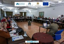 دعم قدرات الهيئات الاستشارية بمجلس جهة الشرق في مجال الديمقراطية التشاركية缩略图