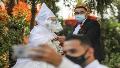 بشروط .. الحكومة تسمح بتنظيم التجمعات والحفلات وافتتاح المسارح وقاعات السينما缩略图 بشروط .. الحكومة تسمح بتنظيم التجمعات والحفلات وافتتاح المسارح وقاعات السينما缩略图