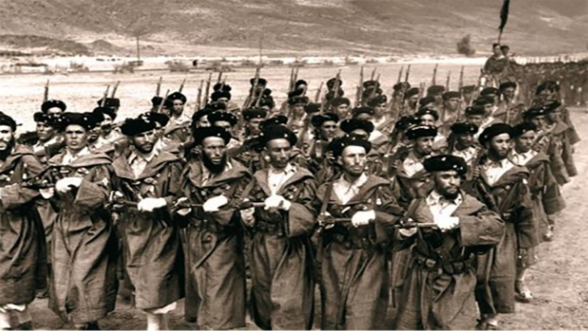 بحضور سفير المغرب .. هولندا تكرم جنودا مغاربة缩略图