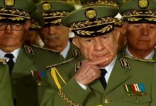 الجزائر: تنزيل رتبة مدير المخابرات الداخلية السابق من جنرال إلى جندي缩略图 الجزائر: تنزيل رتبة مدير المخابرات الداخلية السابق من جنرال إلى جندي缩略图