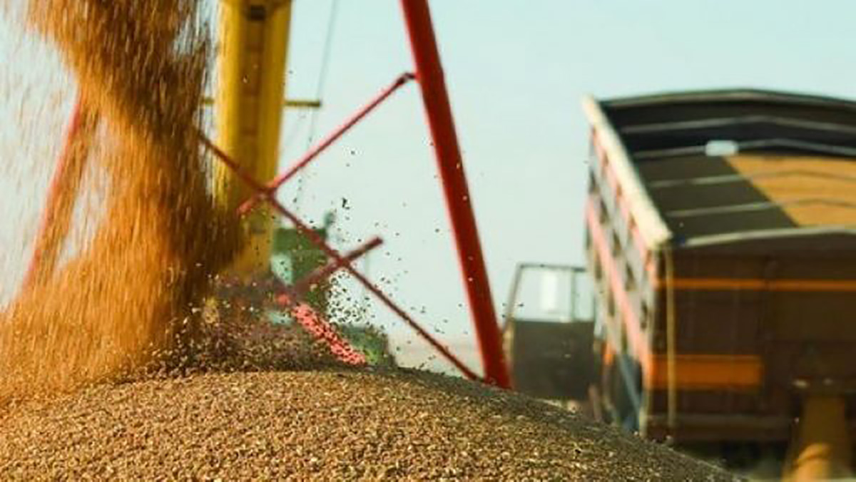 ابتداء من يونيو… الحكومة تعيد فرض رسوم الاستيراد على القمح缩略图