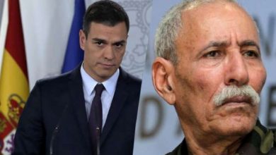 الأهرام” المصرية.. استقبال إسبانيا للمدعو إبراهيم غالي ازدواجية فاضحة缩略图