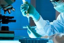 مجلس وطني للبحث العلمي يرى النور缩略图