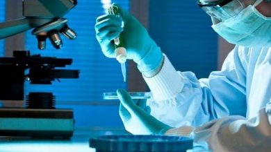 مجلس وطني للبحث العلمي يرى النور缩略图