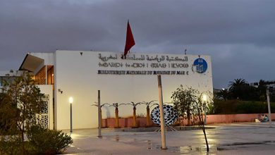 المكتبة الوطنية بالرباط تفتح أبوابها في وجه المنخرطين缩略图 المكتبة الوطنية بالرباط تفتح أبوابها في وجه المنخرطين缩略图