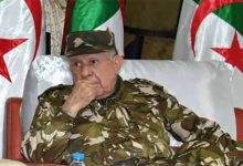 نجاعة المخابرات المغربية تزرع الشك بين مكونات المؤسسة العسكرية بالجزائر缩略图