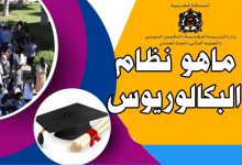 نظام الباكالوريوس: التفاصيل ، الهندسة البيداغوجية ، والأهداف .缩略图