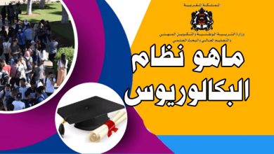 نظام الباكالوريوس: التفاصيل ، الهندسة البيداغوجية ، والأهداف .缩略图