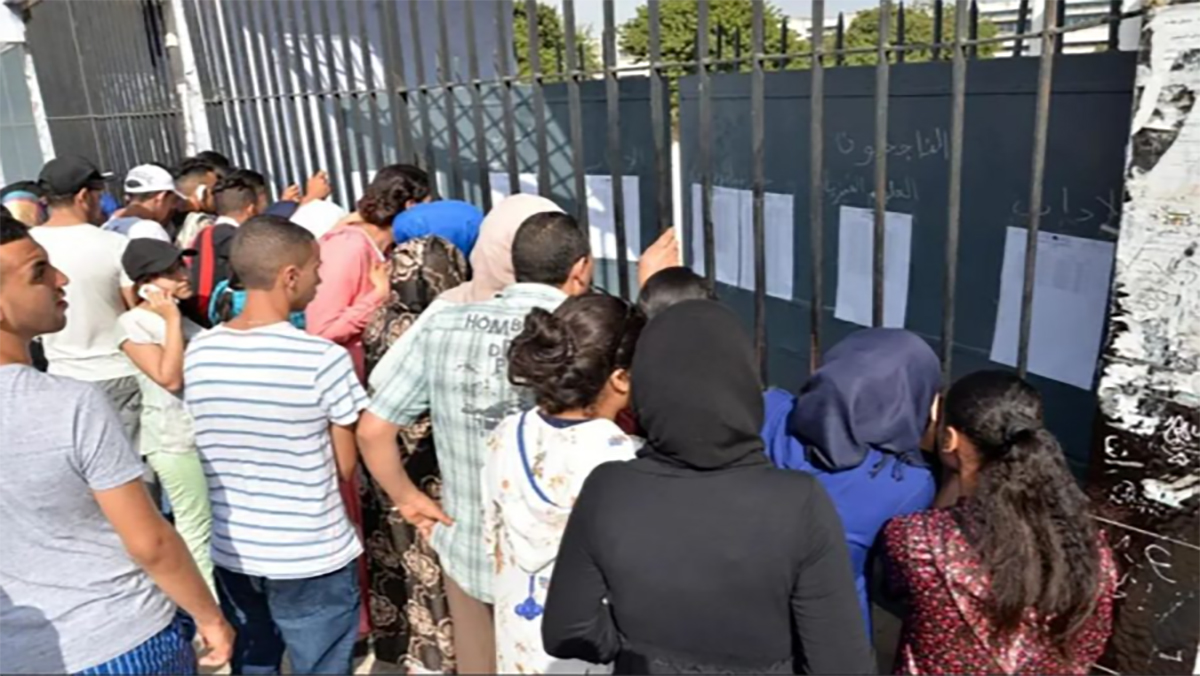 وزارة التربية الوطنية والتكوين المهني والتعليم العالي والبحث العلمي