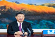 التضامن والتعاون بين دول