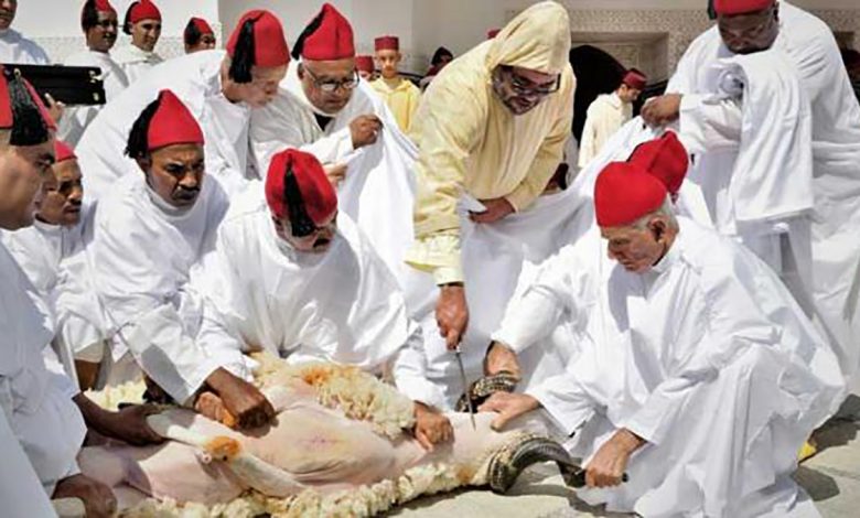 أمير المؤمنين يؤدي صلاة عيد الأضحى ويقوم بنحر أضحية العيد缩略图 أمير المؤمنين يؤدي صلاة عيد الأضحى ويقوم بنحر أضحية العيد