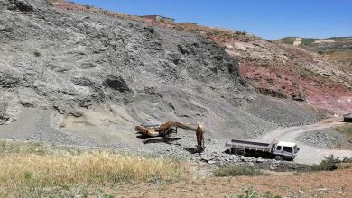 مجموعة التضامن