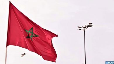 قضية بيغاسوس