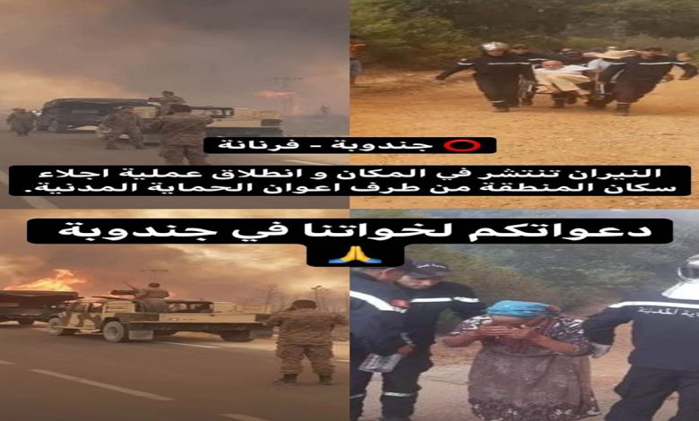 عاجل: نيران الجزائر تصل الى تونس – صور حصرية缩略图 نيران الجزائر تصل تونس