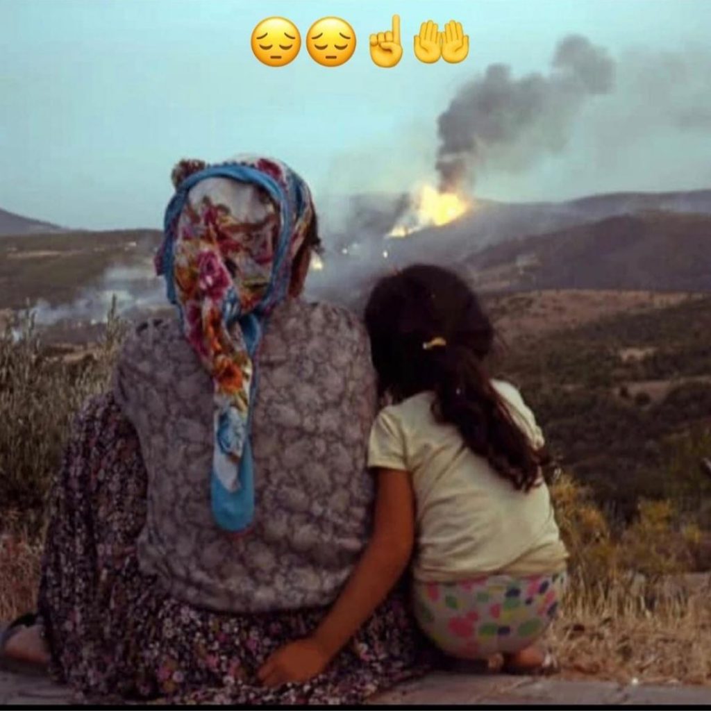 الجزائر تحترق – يرجى عدم تصفح الصور للأقل من 18 سنة-插图7