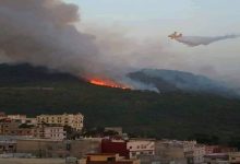 المغرب.. اتساع رقعة حريق شفشاون واقترابه من التجمعات السكنية缩略图