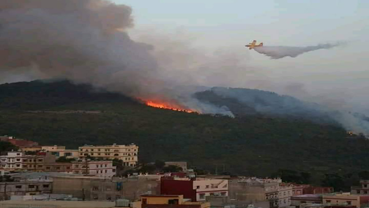 المغرب.. اتساع رقعة حريق شفشاون واقترابه من التجمعات السكنية缩略图