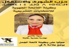 سينا سلامي … مهندسة امتدادها المقاوم يدفعها اليوم لولوج عالم السياسة لاستكمال بناء الوطن缩略图