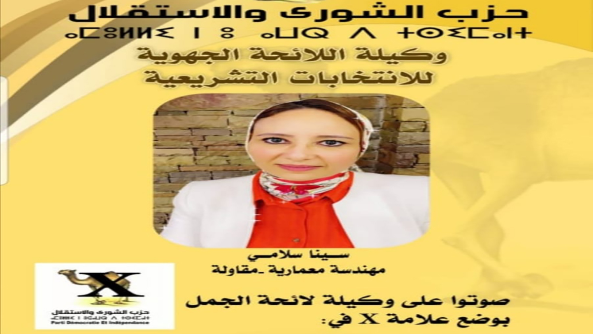 سينا سلامي … مهندسة امتدادها المقاوم يدفعها اليوم لولوج عالم السياسة لاستكمال بناء الوطن缩略图