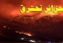 الجزائر تحترق – يرجى عدم تصفح الصور للأقل من 18 سنة-缩略图 الجزائر تحترق