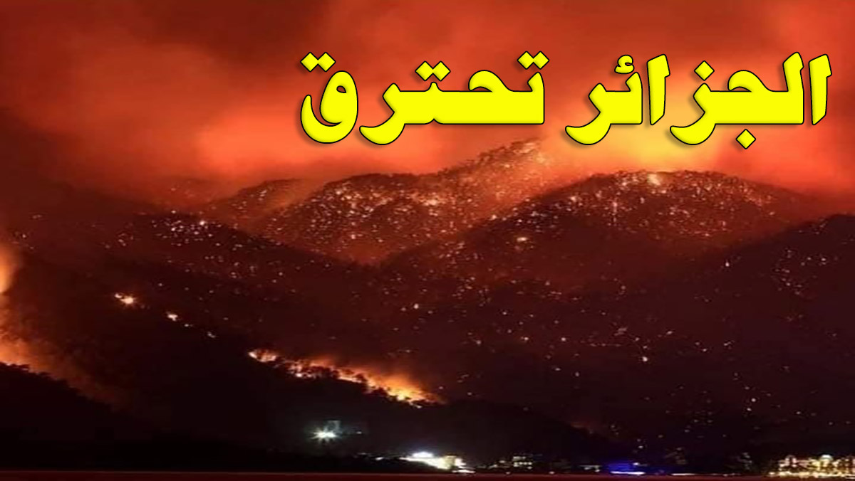 الجزائر تحترق