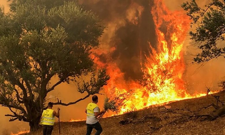 الجزائر.. حركة معارضة تطالب بتحقيق دولي في الحرائق وجريمة إحراق الشاب إسماعيل缩略图 الجزائر.. حركة معارضة تطالب بتحقيق دولي في الحرائق وجريمة إحراق الشاب إسماعيل缩略图