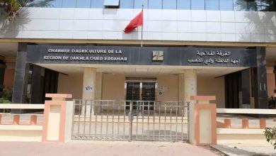 انتخاب محمد أخطور رئيسا للغرفة الفلاحية لجهة الداخلة – وادي الذهب缩略图 انتخاب محمد أخطور رئيسا للغرفة الفلاحية لجهة الداخلة – وادي الذهب缩略图