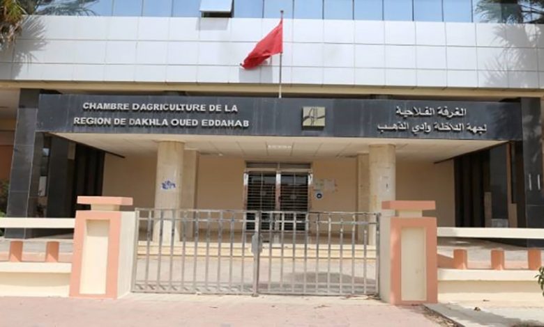 انتخاب محمد أخطور رئيسا للغرفة الفلاحية لجهة الداخلة – وادي الذهب缩略图 انتخاب محمد أخطور رئيسا للغرفة الفلاحية لجهة الداخلة – وادي الذهب缩略图